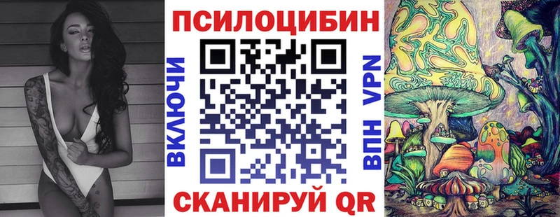 omg ONION  Отрадная  Псилоцибиновые грибы MAGIC MUSHROOMS 