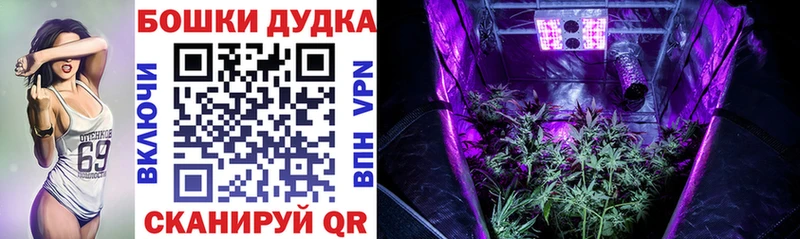 MEGA онион  Отрадная  Канабис конопля 